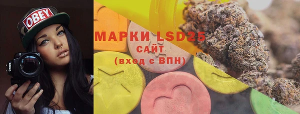 прущие грибы Алзамай